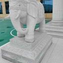 陇南 白麻花岗岩动物异形石雕-大象