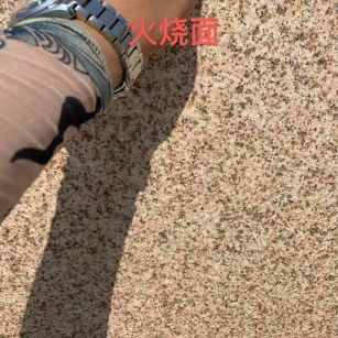 陇南黄金麻火烧面