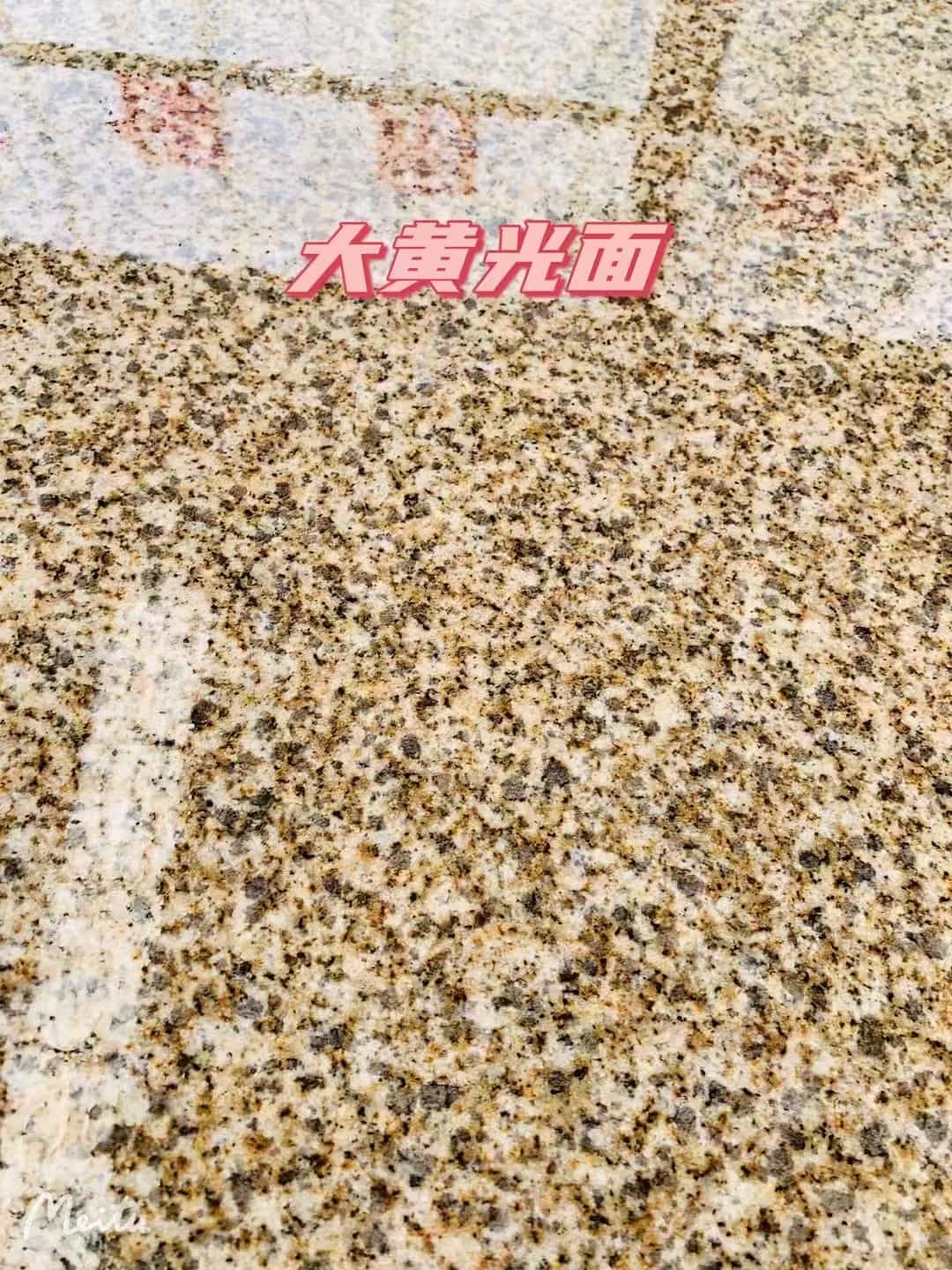 陇南黄金麻大黄光面