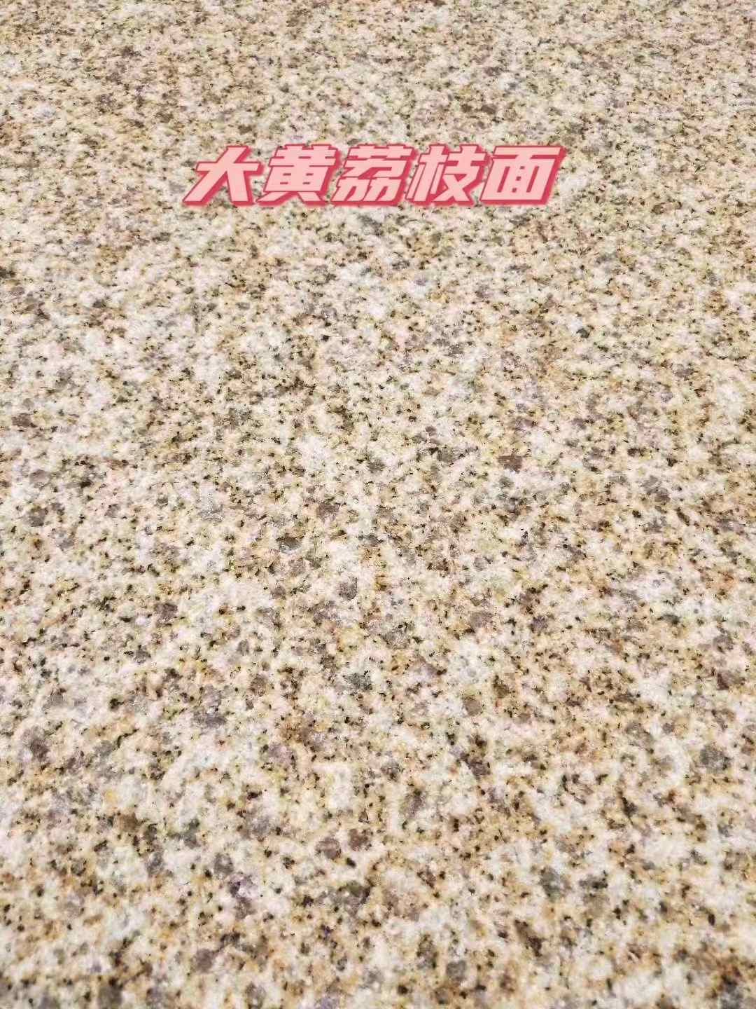 陇南黄金麻大黄荔枝面