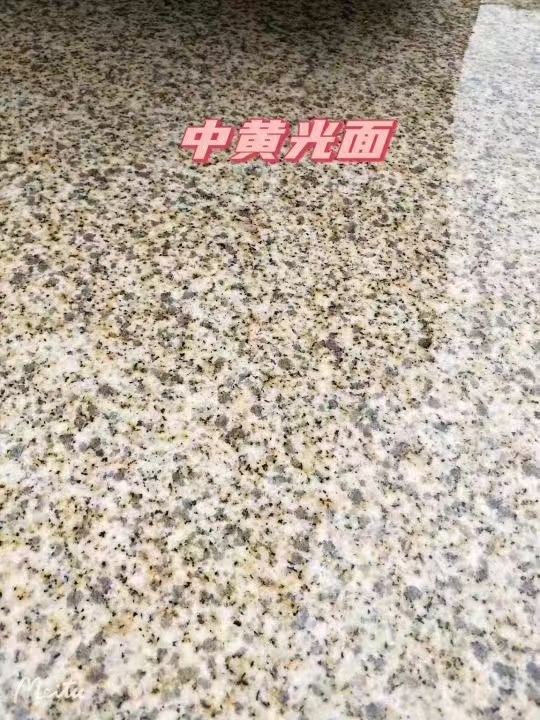 陇南黄金麻中黄光面