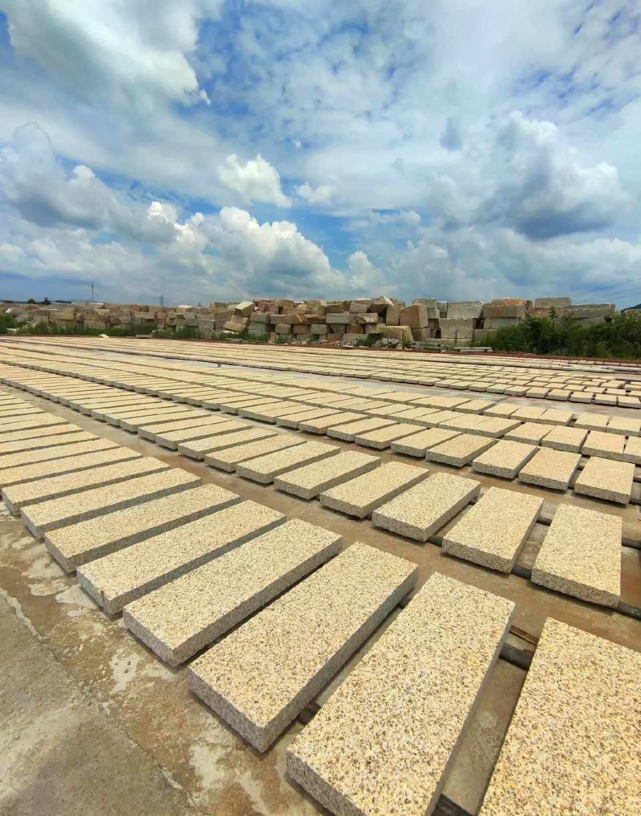 陇南 黄金麻荔枝面花岗岩石材地铺石防护中