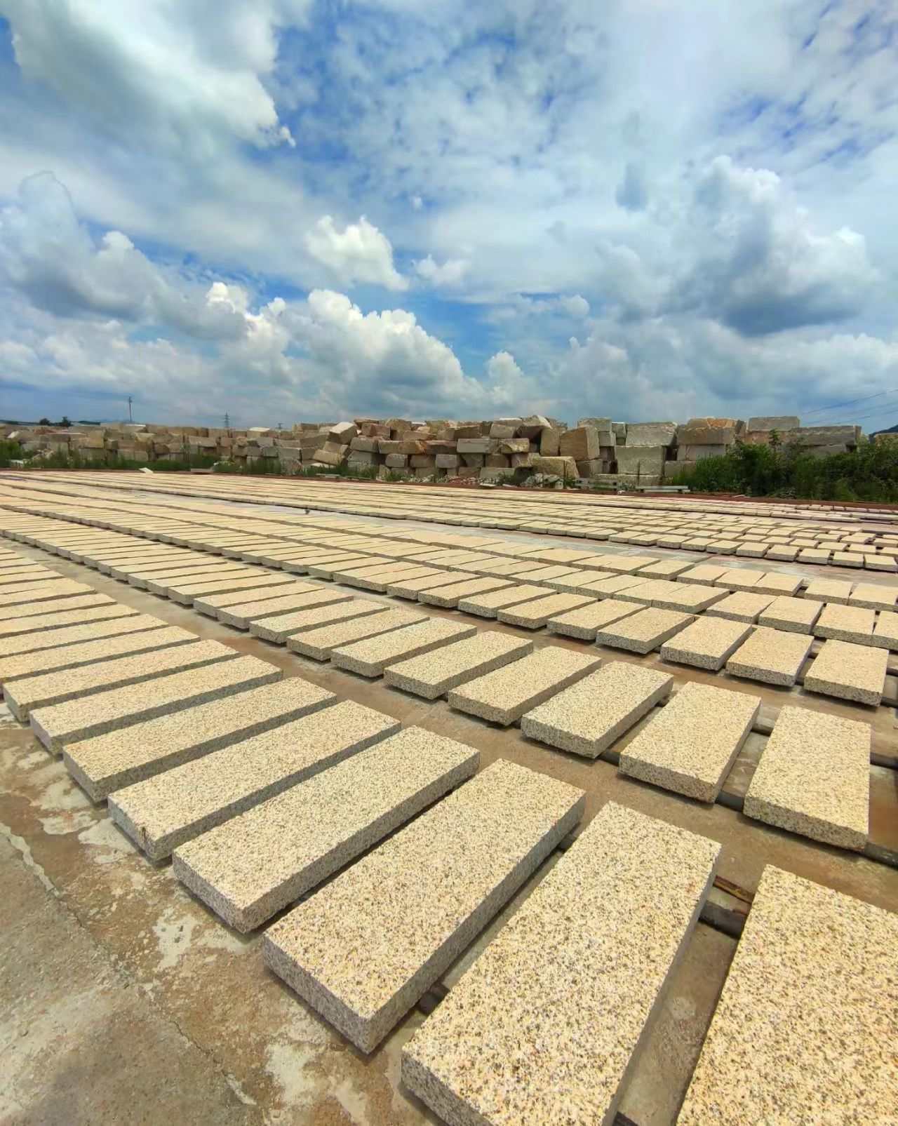 陇南 黄金麻花岗岩荔枝面地铺石防护中